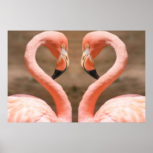 Flamingo Love print