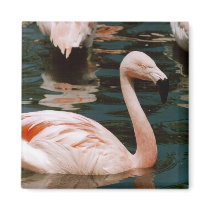 Flamingo magnets by quetzal323 Flamingo magnets