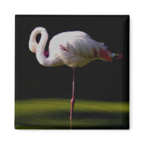 flamingo magnets by VioDePhoto flamingo magnets