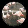 Flamingo magnet