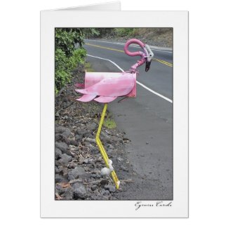 Flamingo Mailbox card