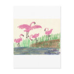 Flamingo Mash postcards