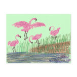 Flamingo Mash postcards