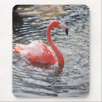 Flamingo mousepads