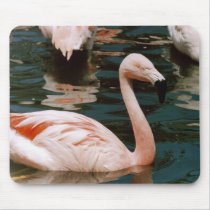 Flamingo mousepads by quetzal323 Flamingo mousepads