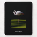 flamingo mousepads