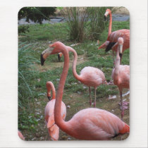 Flamingo Mousepad mousepads