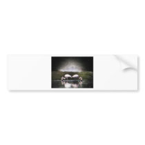 Flamingo Nights Bumper Stickers