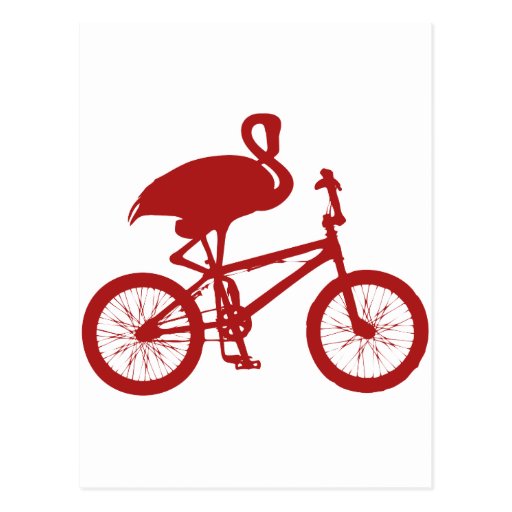 bike world flamingo