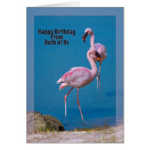 Flamingo Pair Birthday Greeting Card