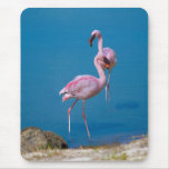Flamingo Pair Mousepad