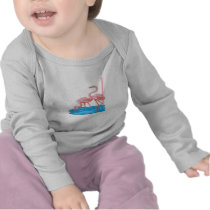 Flamingo Pair Tshirts
