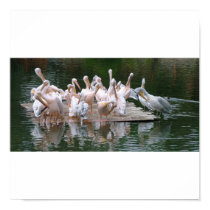 Flamingo Party posters