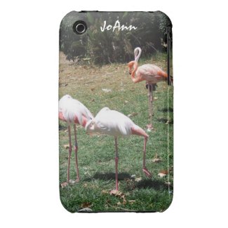 Flamingo Photograph iPhone 3 Case