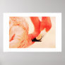 Flamingo Pink Fine Art Print