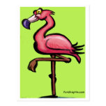 Flamingo Post Card