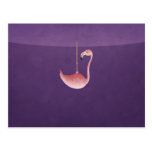Flamingo Post Card