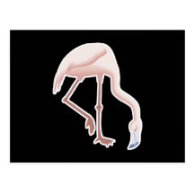 flamingo post cards