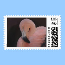 Flamingo stamps