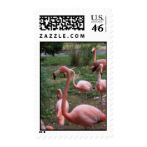 Flamingo Postage postage