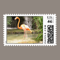 Flamingo postage