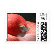 Flamingo Postage postage