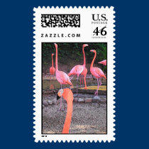 FLAMINGO stamps