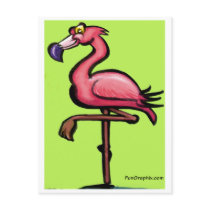 Flamingo postcards