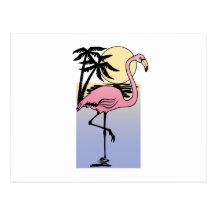 Flamingo Postcard