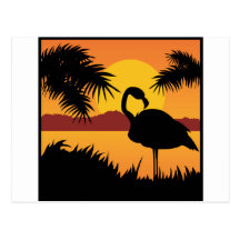 Flamingo Postcard