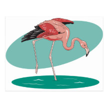 Flamingo Postcards