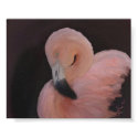 Flamingo posters by kdesocio Flamingo posters