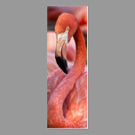 Flamingo Profile Card business cards