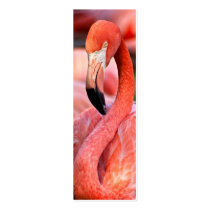 Flamingo Profile Card or Bookmark business cards