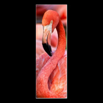 Flamingo Profile Card or Bookmark business cards