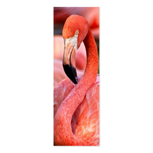 Flamingo Profile Card or Bookmark Business Card (front side)