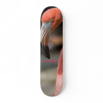 Flamingo SKATEMORE Skateboard