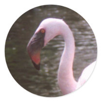 flamingo stickers