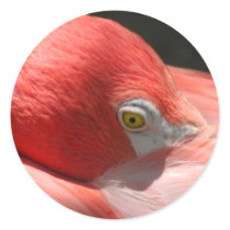 Flamingo Sticker
