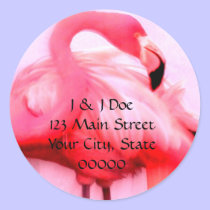 Flamingo stickers