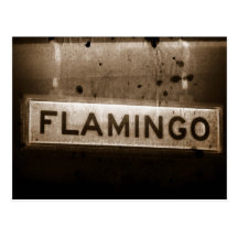 Flamingo Street Las Vegas Postcard