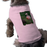 Flamingo Stroll Pet Shirt