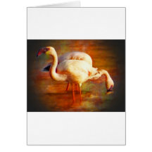 Flamingo Sun Greeting Card
