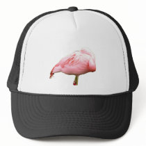 Flamingo Tucked Beak Hat by buffaloworks Flamingo Tucked Beak Hat
