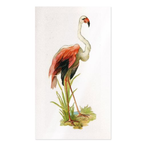 Flamingo Vintage Business Card (back side)