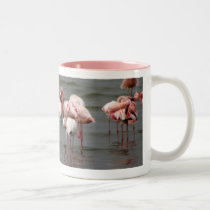 Flamingoes at Lake Nakuru MIRROR Mug