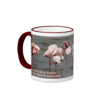 Flamingoes at Lake Nakuru Mug