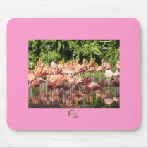 Flamingoes mousepads
