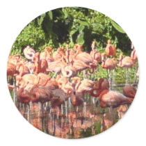 Flamingoes stickers by Calliope_Oz Flamingoes stickers