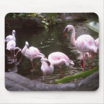 flamingos 1 mousepads by eunicorn flamingos 1 mousepads